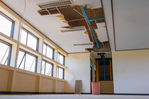 Best Flood restoration services  in Naco, AZ