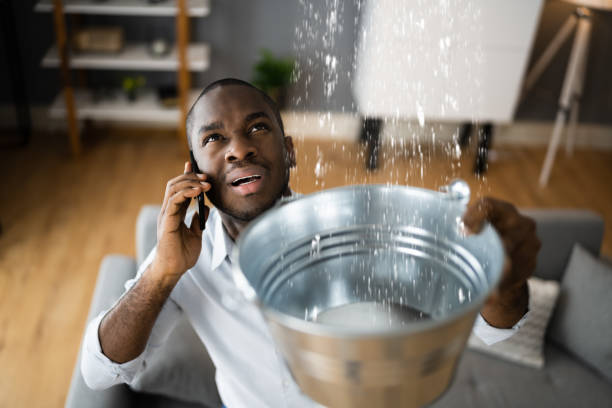 Best Carpet water damage restoration  in Naco, AZ
