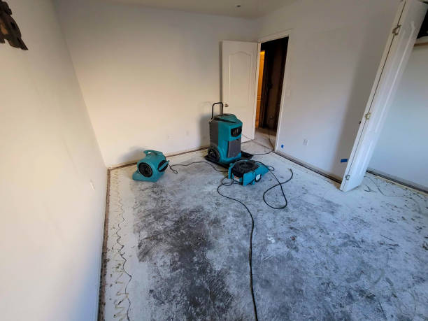 Best Water damage restoration near me  in Naco, AZ