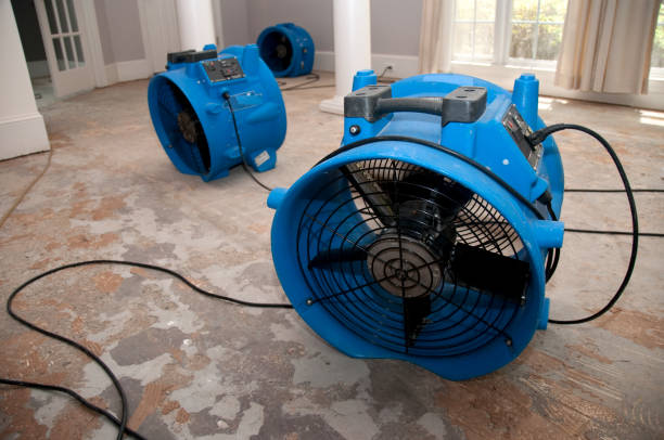 Best Water damage restoration near me  in Naco, AZ
