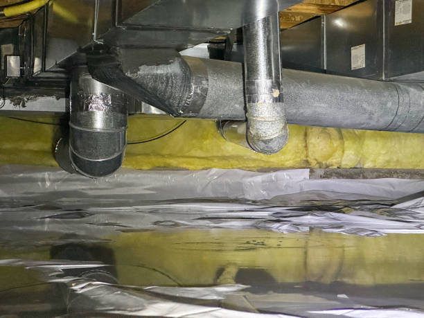  Naco, AZ Water damage restoration Pros