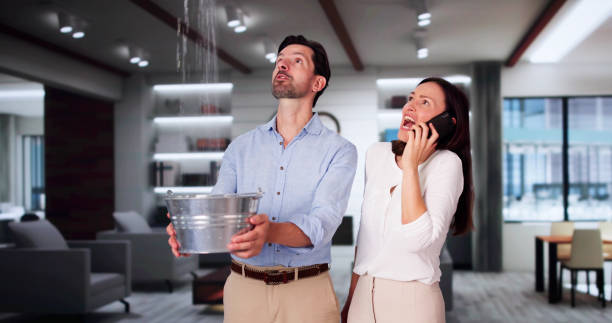 Best Flooded house restoration  in Naco, AZ